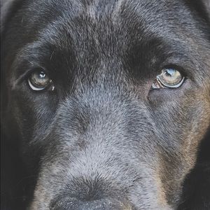 Meet your Posher, Sherry